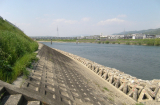 塔の島改修槇島地区河道掘削工事 写真2