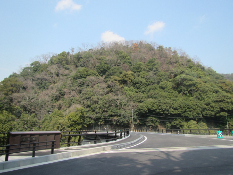 白虹橋取付道路他工事 写真2