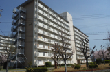 京都市向島市営住宅11街区 写真2