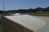 上東地区中流築堤他工事 写真3