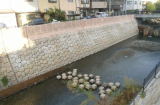 都市基盤河川改修事業 西高瀬川(有栖川工区)改修工事 写真3