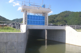 大川地区築堤護岸工事 写真5