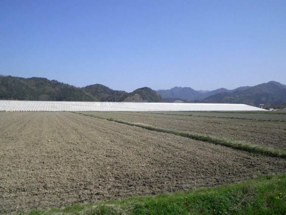 上東地区下流築堤工事　写真6