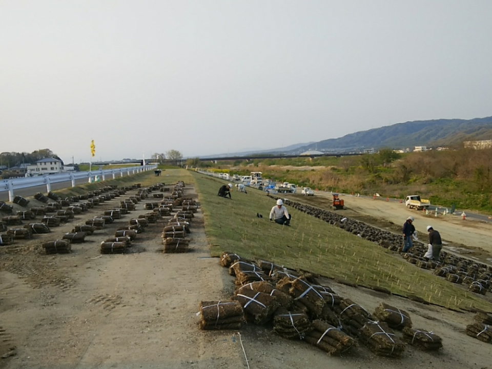木津川祝園地区法覆護岸他工事 写真8
